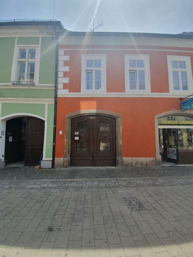 Luxory Apartment The Soul Of City Máribor Exterior foto